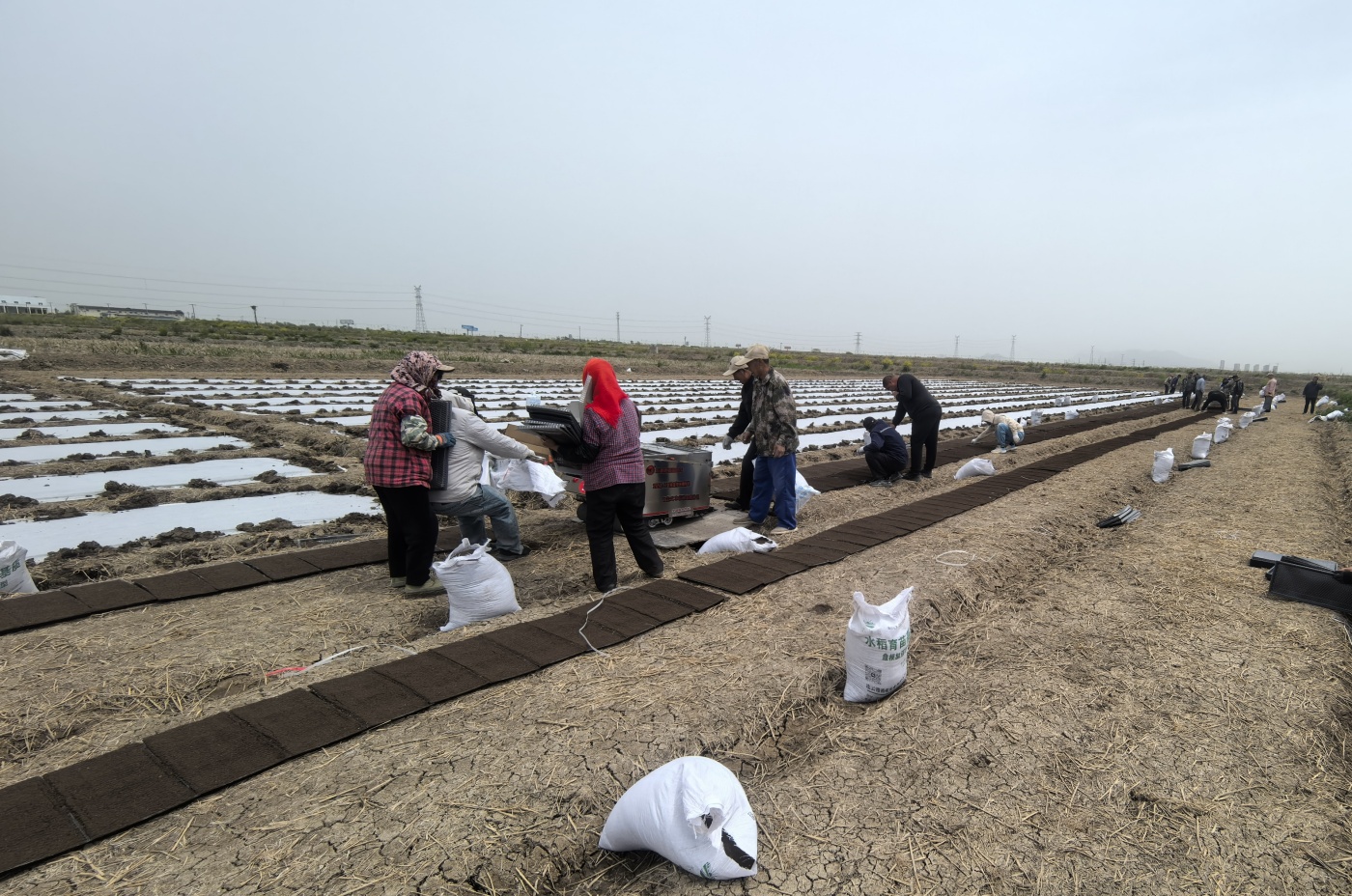 微信圖片_20250425104039_副本