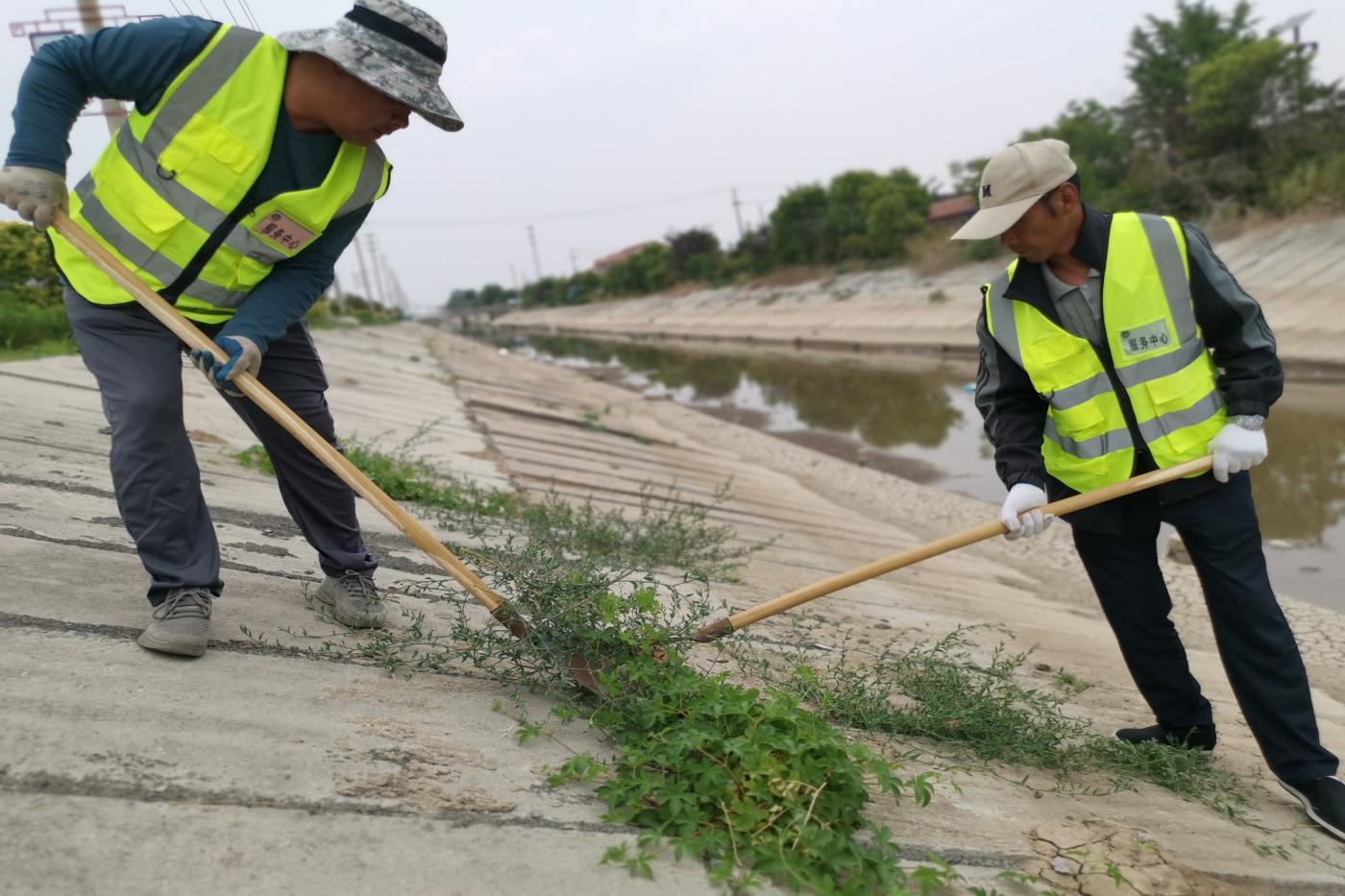 服務中心護坡除草